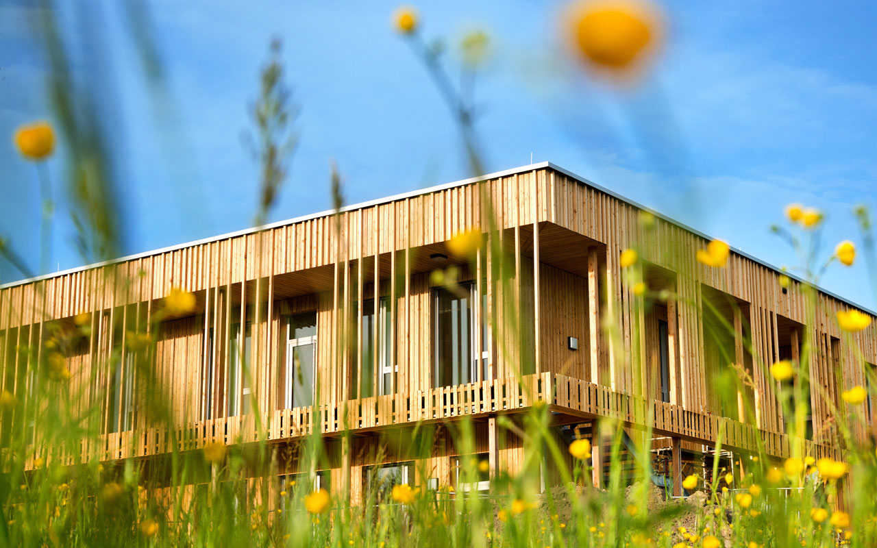 Holzhaus Holzhaus im Hinergrund. Mit Blumen unscharf im Vordergrund