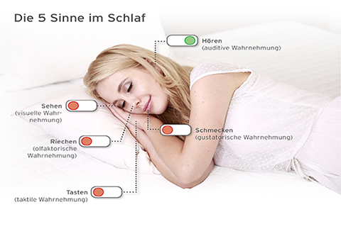 fünf Sinne  schlafende Frau mit den 5 Sinnen und deren Beschreibung